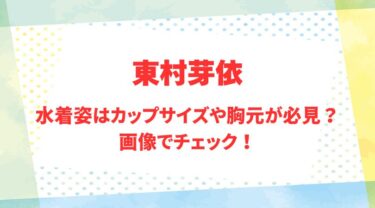 東村芽依のアイキャッチ画像